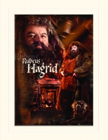 Harry Potter - Immagine su passepartout Hagrid - Prodotto Ufficiale Warner Bros