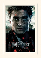 Harry Potter - Immagine su passepartout Harry  Potter e i Doni della Morte - Prodotto Ufficiale Warner Bros