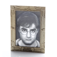 Harry Potter - Quadro 3D Harry - USB - Prodotto Ufficiale Warner Bros.