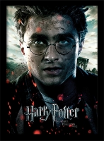 Harry Potter - Quadro Harry Doni della Morte parte 2 - Prodotto Ufficiale Warner Bros.